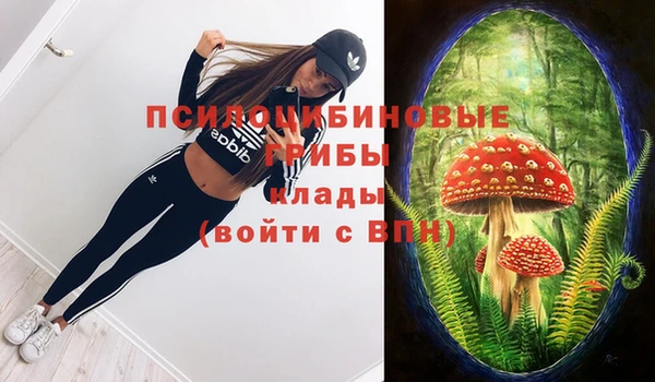 ешки Няндома