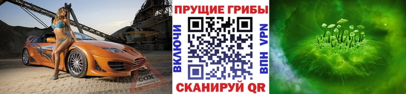 Купить закладки Богданович Галлюциногенные грибы Psilocybine cubensis